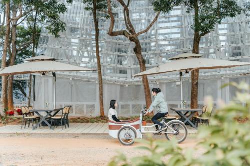 小巷清风  小巷清风