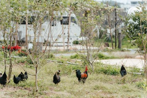 小巷清风  小巷清风