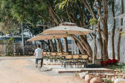 小巷清风  小巷清风