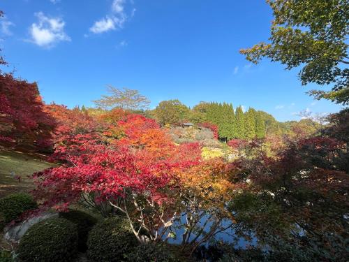 Daiwa Roynet Hotel Hiroshima