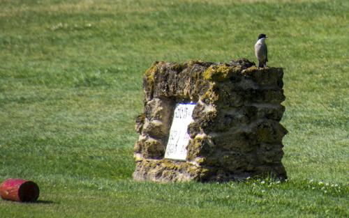 努弗波提尔高尔夫酒店 努弗波提尔高尔夫酒店