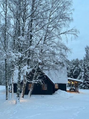 B&B Straupe - Brīvdienu māja Vējiņi - Bed and Breakfast Straupe