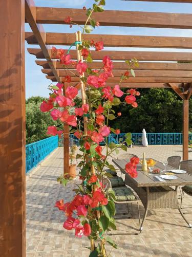 LEMON TREE GARDEN near Mirtos beach