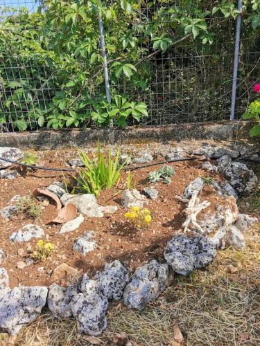 LEMON TREE GARDEN near Mirtos beach