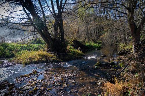 Youtopia Riverside Youtopia Riverside