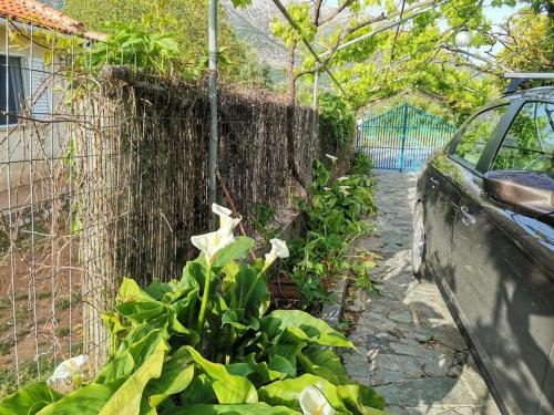 LEMON TREE GARDEN near Mirtos beach