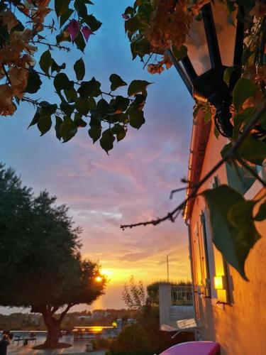 LEMON TREE GARDEN near Mirtos beach