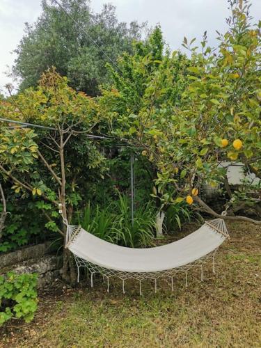 LEMON TREE GARDEN near Mirtos beach