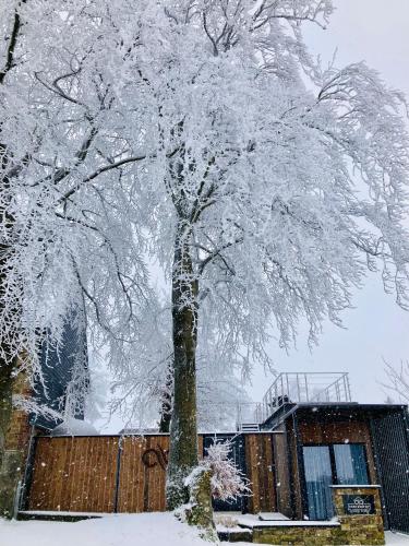 Tiny House - Luxury Cottage, Büllingen (Foto 10)