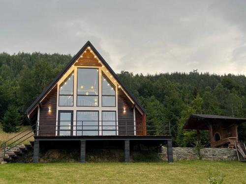 外部景觀, ODNi in 格雷賓尼夫村