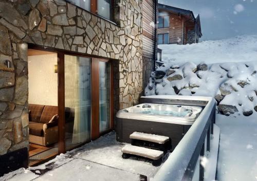 Two-Bedroom Mountain Apartment with Private Hot Tub