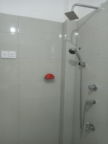 One-Bedroom Apartment image 9