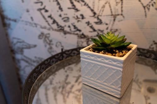 Youtopia Riverside Youtopia Riverside