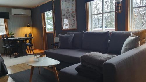 Vikinggård Cottages (Vikinggard Cottages) in Holjes