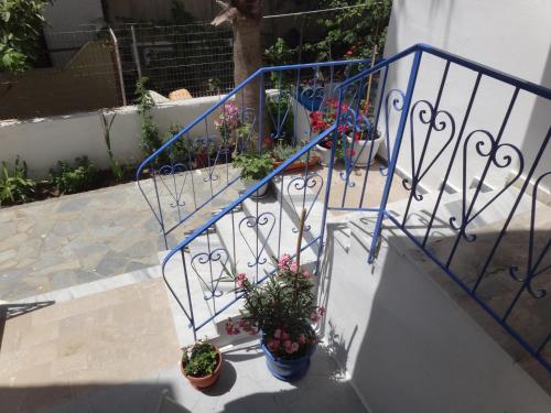 Amfi Apartments - image 11