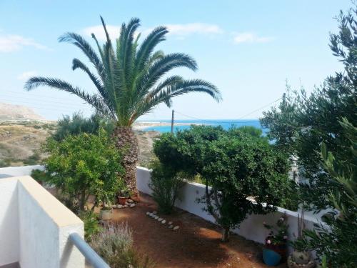 Garden, Villa Xenia in Makris Gialos