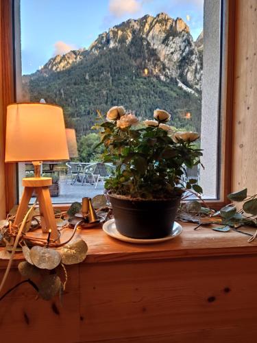 ห้องอาหาร, Les Chemins du Léman (Les Chemins du Leman) in ดิโวน เล บาน