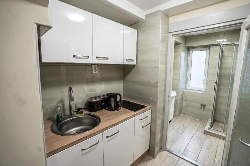 مطبخ, Gogol Apartment in زيجيد