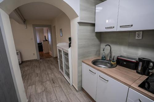 المرافق, Gogol Apartment in زيجيد