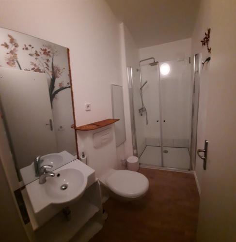 Sandkiefer Zinnowitz