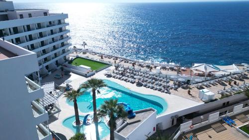 Pearly Grey Ocean Club Apartments & Suites - image 11