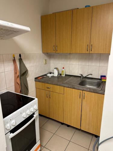 Bydlení v Brumově s.r.o. Bydlení v Brumově s.r.o.