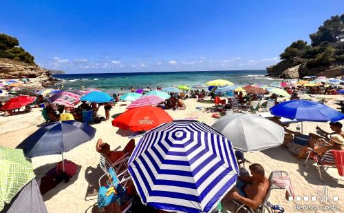 VH CostaBlanca - MARIPOSA - image 6