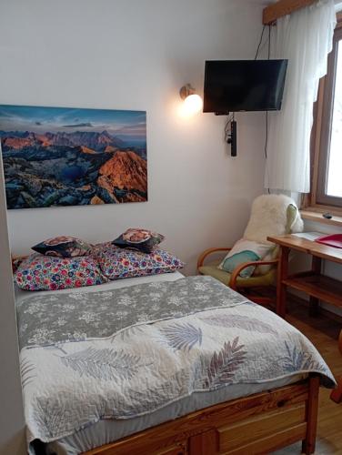 شقة مطلة على الجبل Apartament 3 POKOJOWY Aneks KUCHENNY 3 łazienki pobyt na termach dla 2os, gratis, Zakopane (photo 6)