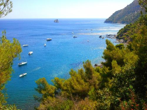 Best Western Plus Soleil et Jardin - image 4