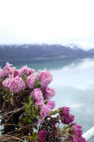 CoconLagon Sérénité au lac d'Annecy