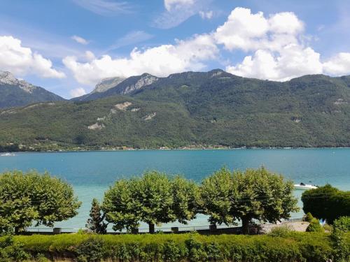 CoconLagon Sérénité au lac d'Annecy