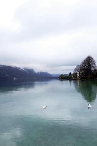 CoconLagon Sérénité au lac d'Annecy