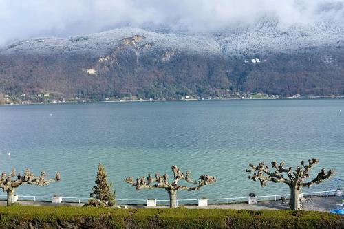 CoconLagon Sérénité au lac d'Annecy