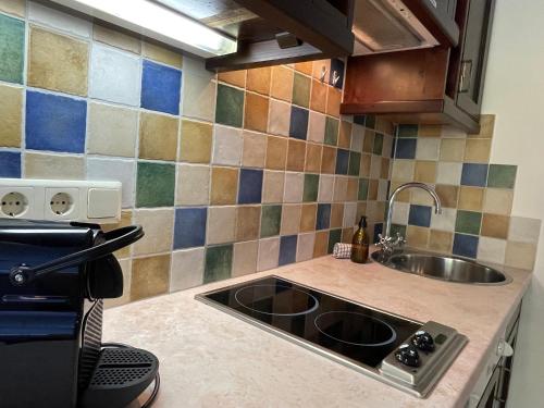 ห้องครัว, International House Sölden Superior Apartment ZW 11 (International House Solden Superior Apartment ZW 11) in ซวิเซลชไตน์