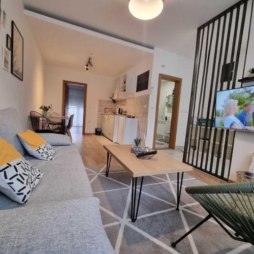 Apartment 12-09, Bajina Bašta