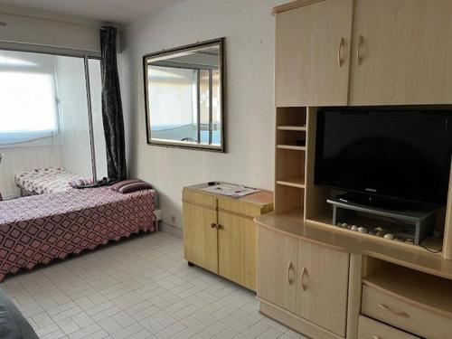 Studio Cap d'Agde, 1 pièce, 4 personnes - FR-1-749-33 - Location saisonnière - Agde