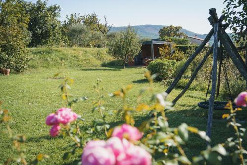 Rooms&Vinery Bregovi - Sobe in vinska klet Bregovi