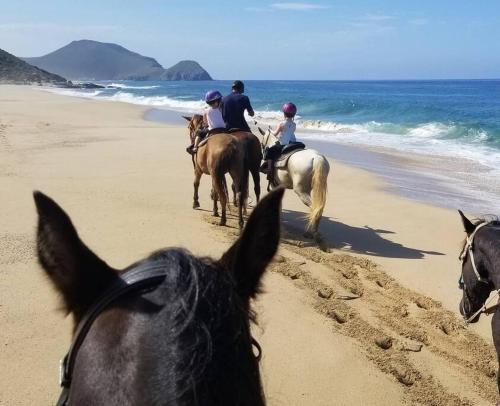 Casa Bella Cerritos, 3 bed home, Pool, Ocean View in San Carlos, Mexico