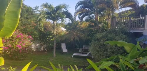 Studio moderne climatisé avec jardin, plage à pied (Studio moderne climatise avec jardin, plage a pied) in Le Diamant