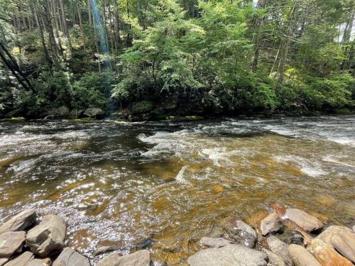 Cozy Poconos retreat on Bushkill Creek w/ Firepit!