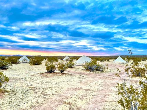 Apkārtne, Beysicair Tents & Campground in Kalifornijas pilsēta (CA)