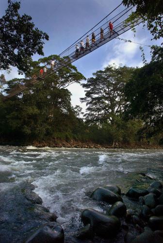 Tirimbina Rainforest Lodge