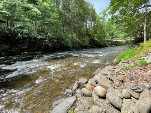 Cozy Poconos retreat on Bushkill Creek w/ Firepit! in East Stroudsburg, USA