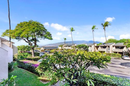 Kihei Holiday 215 - a Charming 2BR, 1BA Condo, AC