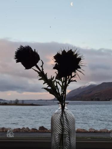 Fort William loft on shore front with amazing views