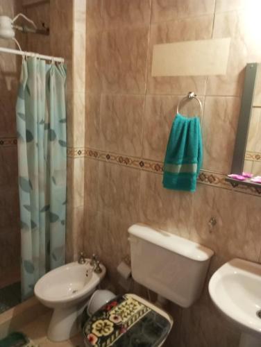 One-Bedroom Apartment image 4