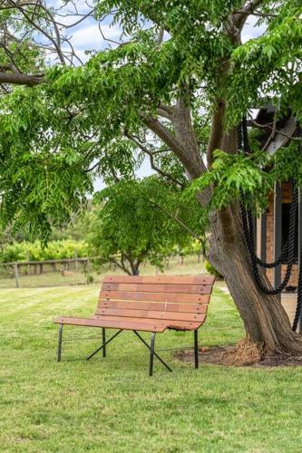 Willunga House - Fireplace Vineyard Views, Willunga (fotografie 6)