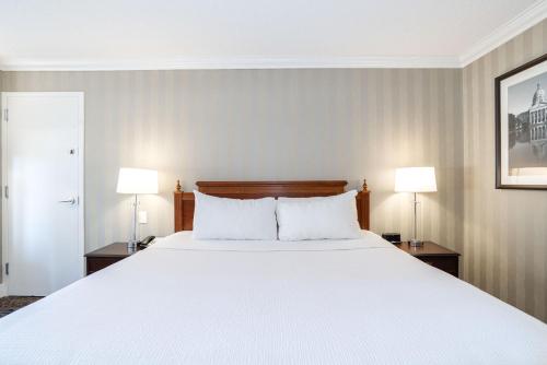 Standard Room, 1 King Bed image 3
