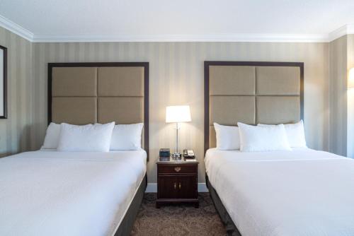 Deluxe Room, 2 Double Beds, Middle Floors image 3