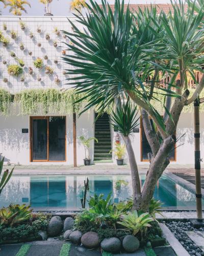 The Farm Canggu Party Hostel – Canggu, CO